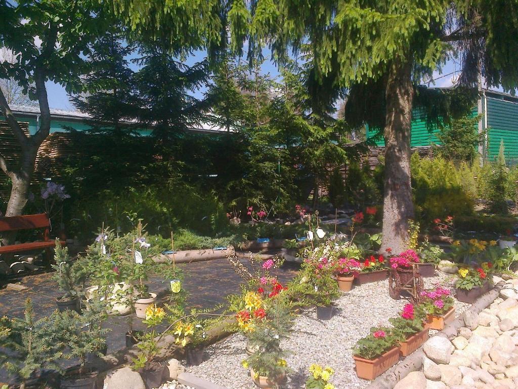 Apartman Yvet Sucany Exterior photo